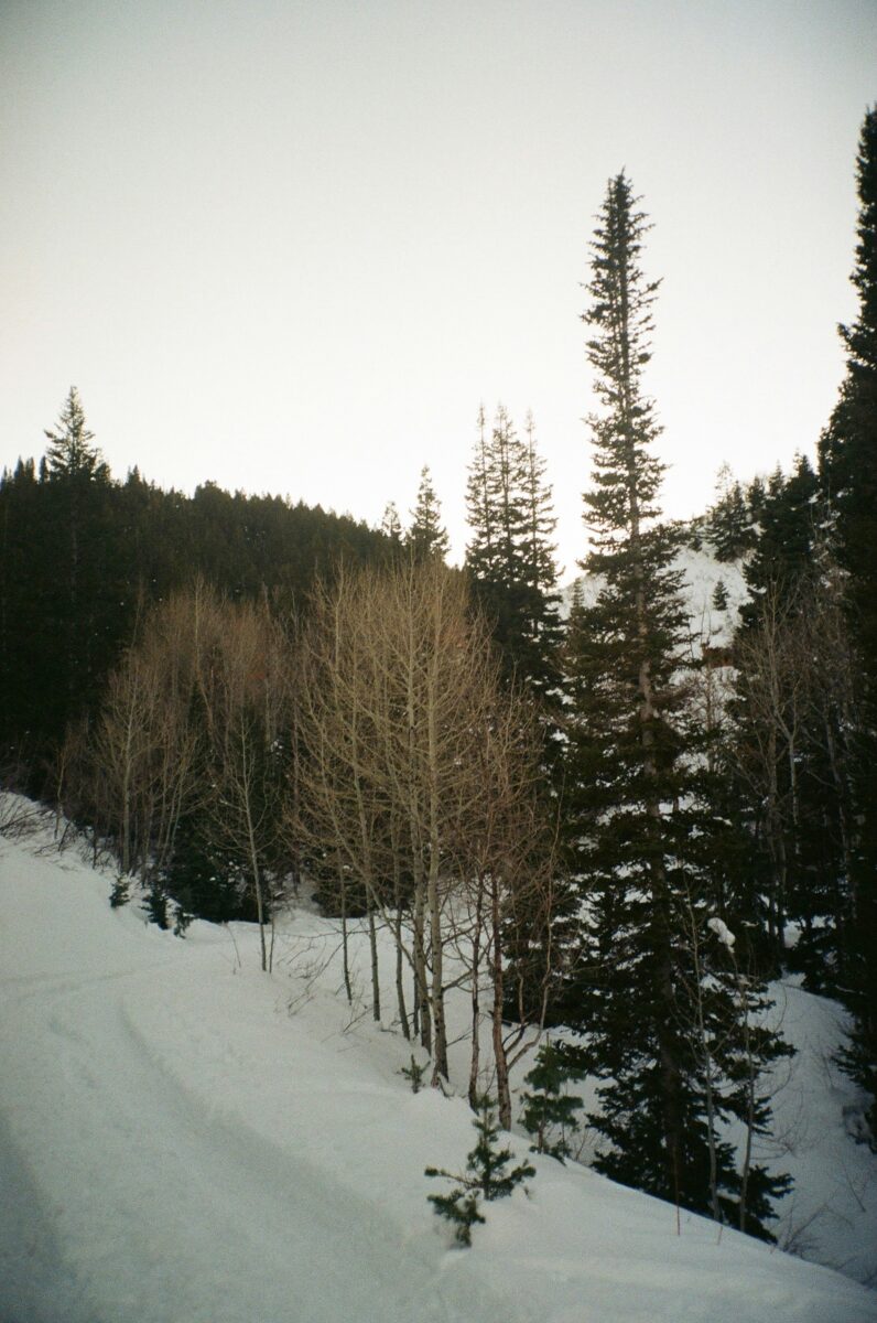 Alkaline water delivery in Woods Cross, Utah
